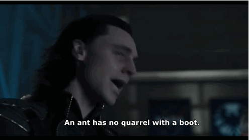 Loki-ant